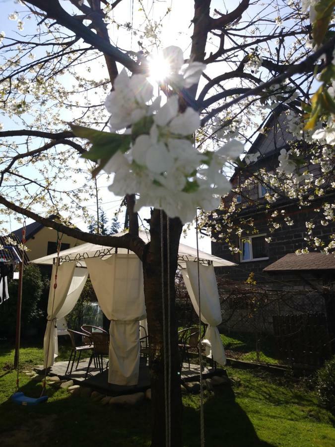 Noclegi Przy Szlaku Agroturystyka Zabnica Exterior foto