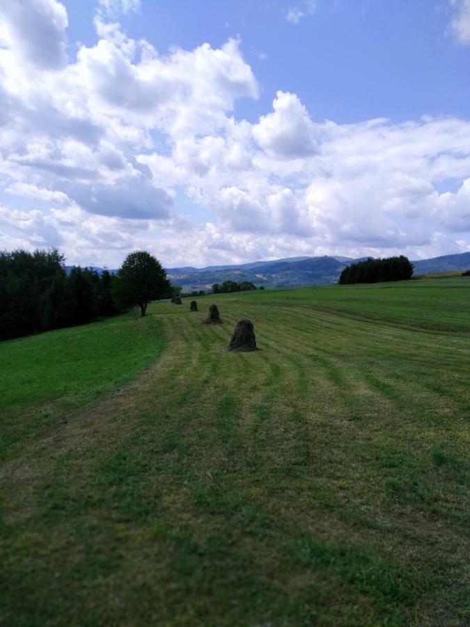 Noclegi Przy Szlaku Agroturystyka Zabnica Exterior foto